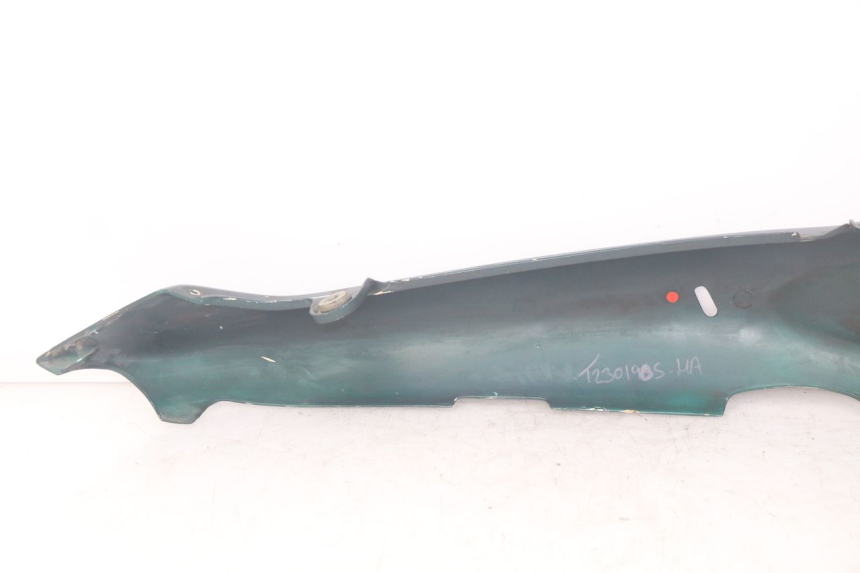 photo de LINKS HINTEN LINKS TRIUMPH SPRINT ST 955 (1999 - 2001)