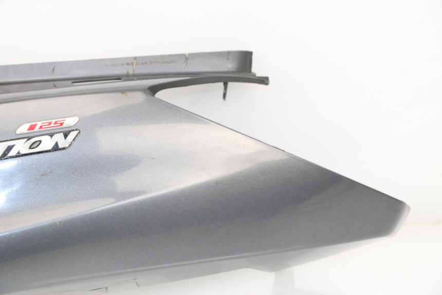 photo de LINKES HINTERES SEITENTEIL TGB X-MOTION XMOTION 125 (2008 - 2014)