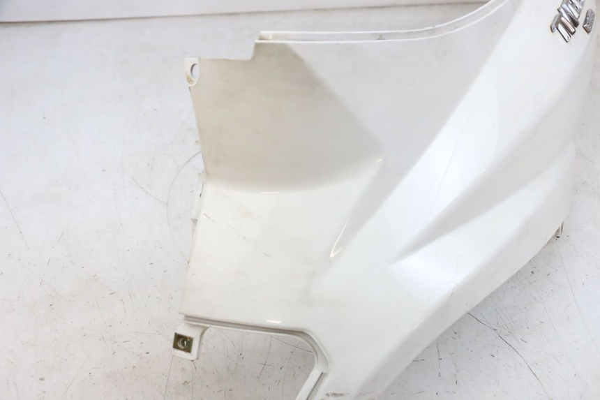 photo de VERKLEIDUNG HINTEN LINKS PEUGEOT TWEET PRO EFI 4T 50 (2021 - 2022)