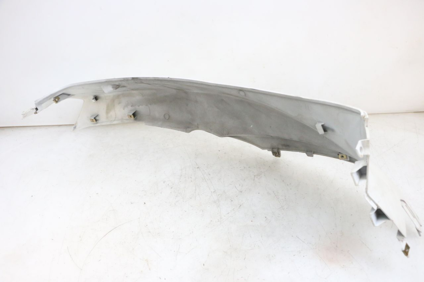 photo de VERKLEIDUNG HINTEN LINKS PEUGEOT TWEET PRO EFI 4T 50 (2021 - 2022)