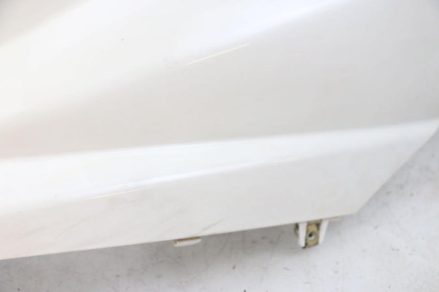 photo de VERKLEIDUNG HINTEN LINKS PEUGEOT TWEET PRO EFI 4T 50 (2021 - 2022)