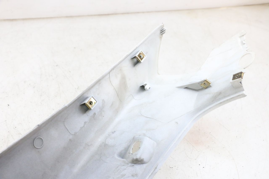 photo de VERKLEIDUNG HINTEN LINKS PEUGEOT TWEET PRO EFI 4T 50 (2021 - 2022)