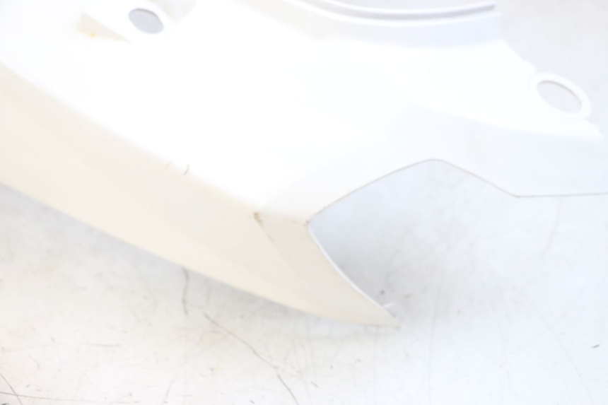 photo de VERKLEIDUNG HINTEN LINKS PEUGEOT TWEET PRO EFI 4T 50 (2021 - 2022)