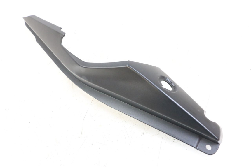 photo de LINKS HINTEN KAWASAKI VERSYS ABS 650 (2015 - 2018)