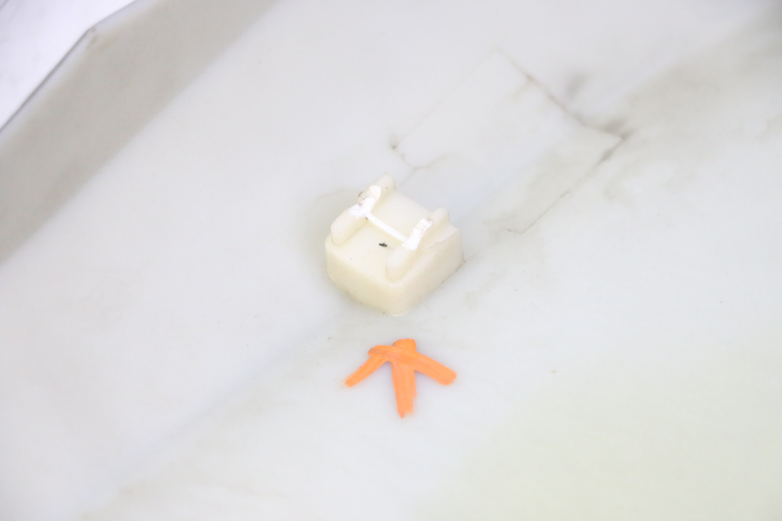 photo de FRONTVERKLEIDUNG RECHTS STAHO FH 50 (2018 - 2019)