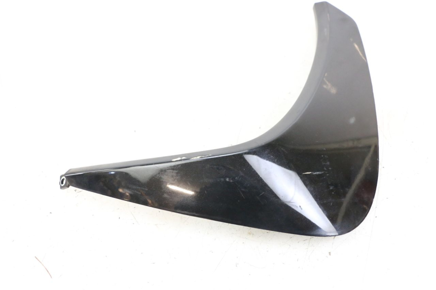 photo de Seitenverkleidung vorne rechts PEUGEOT GEOPOLIS RS 125 (2007 - 2009)