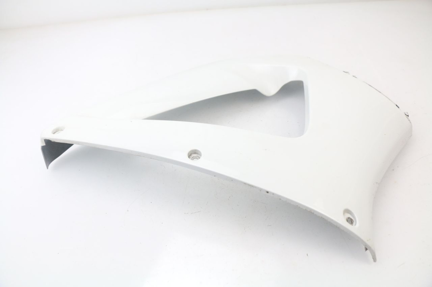 photo de FRONTVERKLEIDUNG RECHTS HONDA CBR 929 RR FIREBLADE 900 (2000 - 2001)