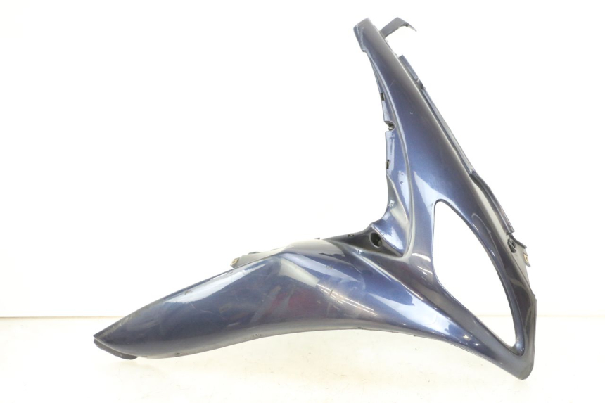 photo de FRONTVERKLEIDUNG RECHTS RENAULT KOURANOS 125 (2001 - 2004)