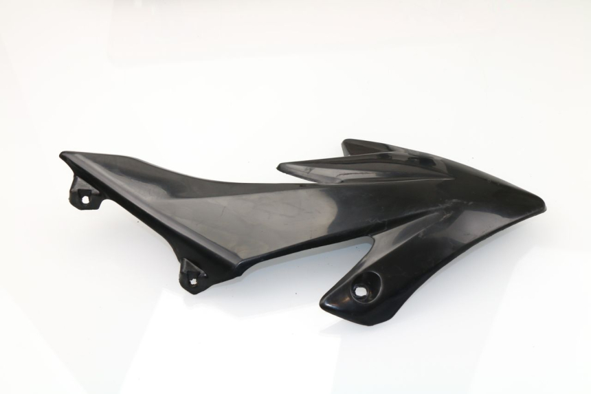 photo de FRONTVERKLEIDUNG LINKS CRZ PIT BIKE 125 (2010 - 2018)