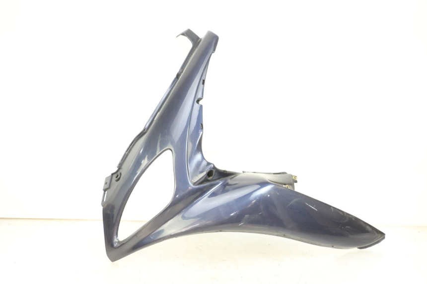 photo de FRONTVERKLEIDUNG LINKS RENAULT KOURANOS 125 (2001 - 2004)