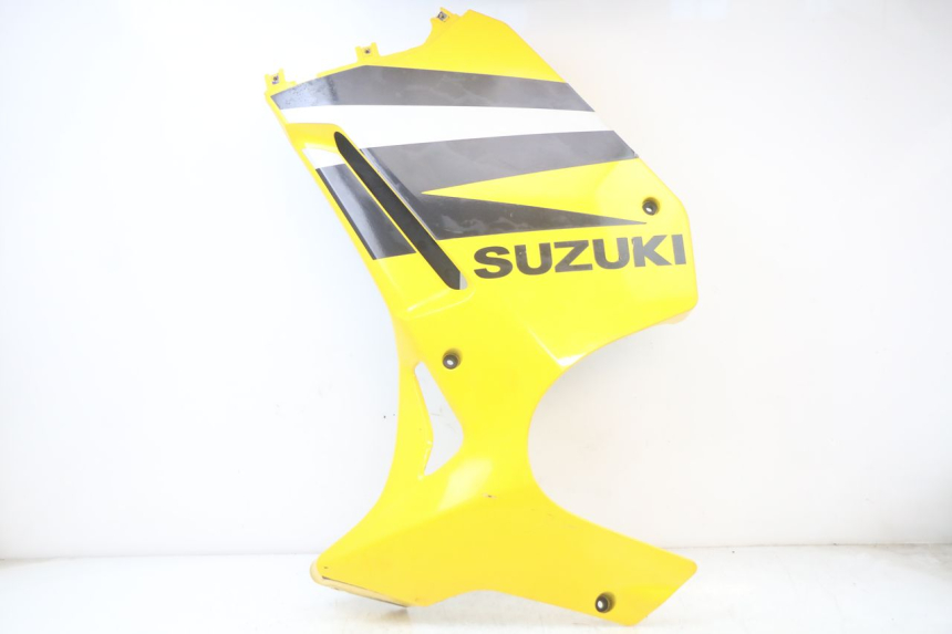 photo de FRONTVERKLEIDUNG LINKS SUZUKI GS F 500 (2004 - 2007)