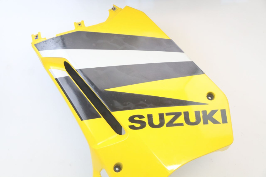 photo de FRONTVERKLEIDUNG LINKS SUZUKI GS F 500 (2004 - 2007)