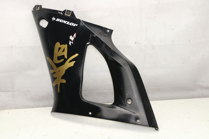 photo de FRONTVERKLEIDUNG LINKS YAMAHA YZF R1 1000 (1998 - 1999)