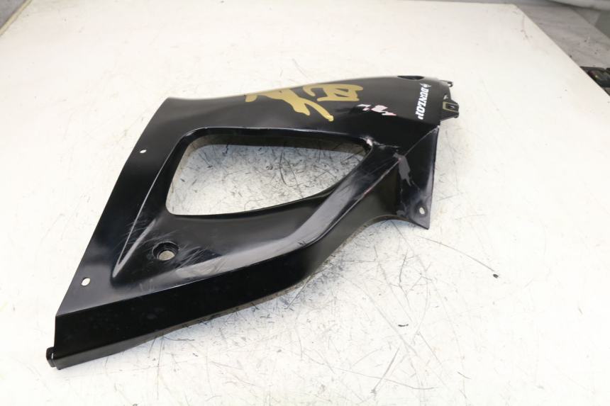 photo de FRONTVERKLEIDUNG LINKS YAMAHA YZF R1 1000 (1998 - 1999)