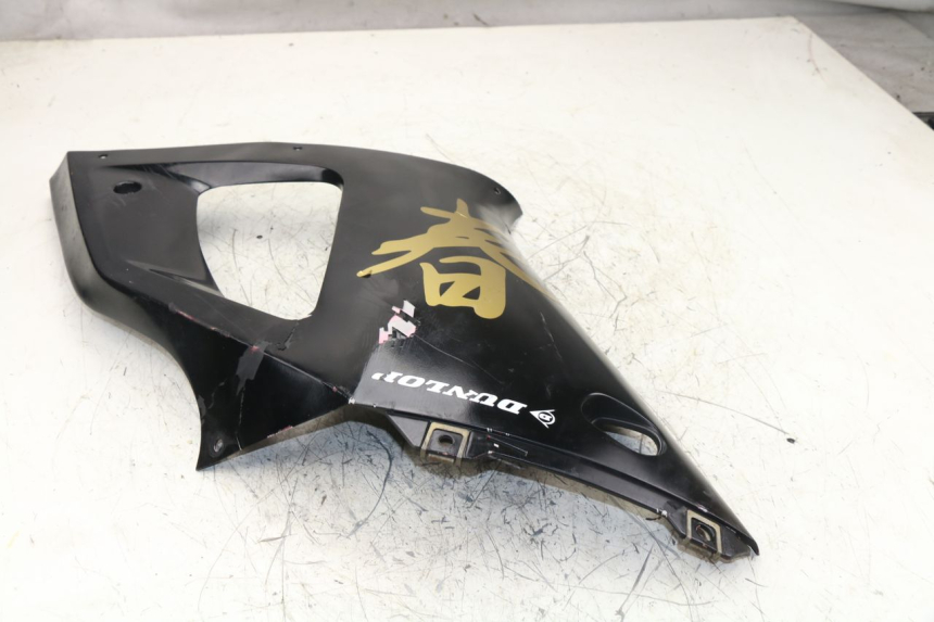 photo de FRONTVERKLEIDUNG LINKS YAMAHA YZF R1 1000 (1998 - 1999)