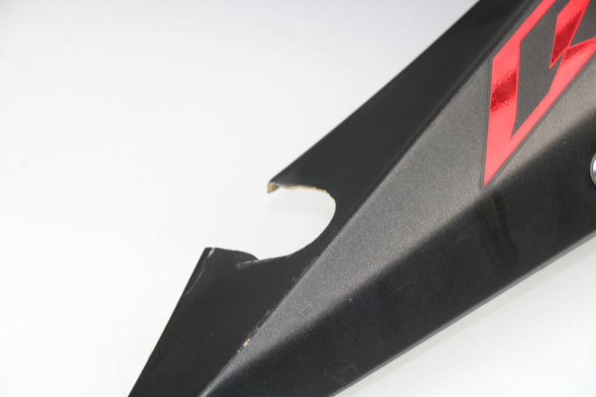 photo de FRONTVERKLEIDUNG LINKS YAMAHA YZF R1 1000 (2002 - 2003)