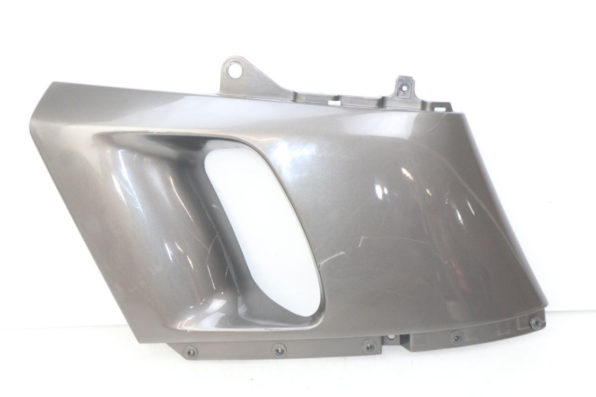 photo de LINKS VORDERES SEITENTEIL KAWASAKI ZZR 600 (1995 - 2004)