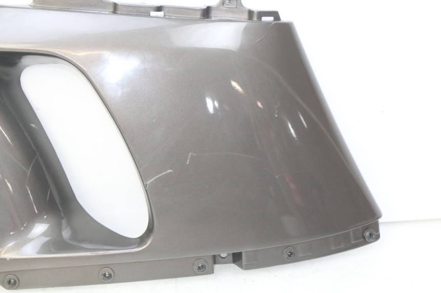 photo de LINKS VORDERES SEITENTEIL KAWASAKI ZZR 600 (1995 - 2004)
