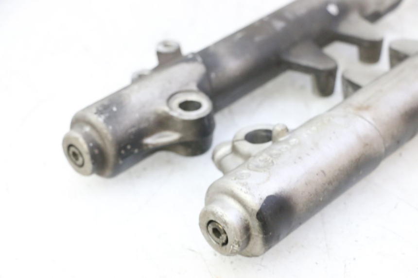 photo de STANDROHR PEUGEOT ELYSTAR 50 (2002 - 2014)