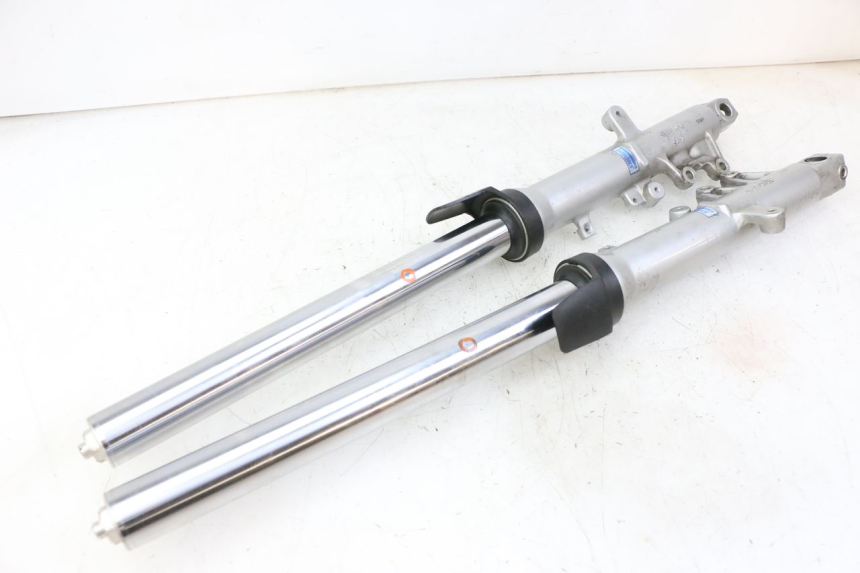 photo de STANDROHR SUZUKI SV S 650 (2003 - 2009)