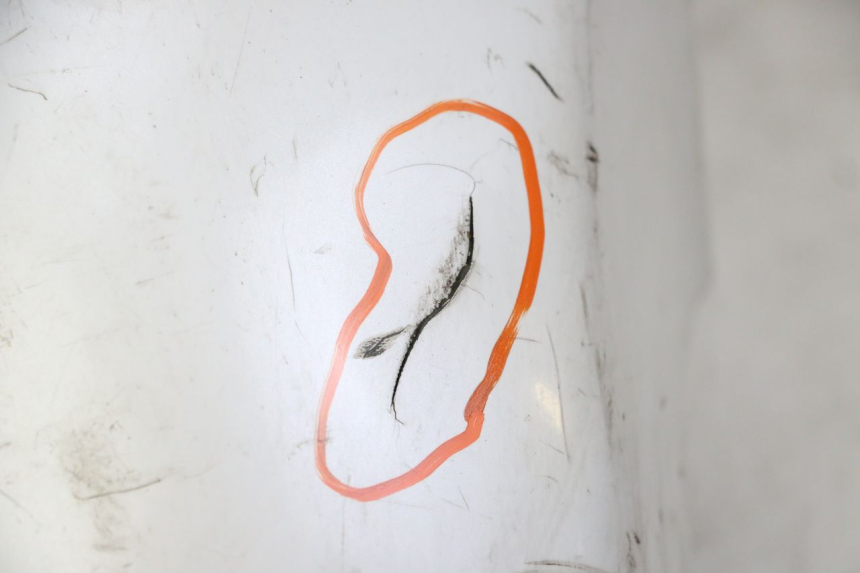 photo de VORDERRADKOTFLüGEL HONDA FES S-WING SWING ABS 125 (2007 - 2015)