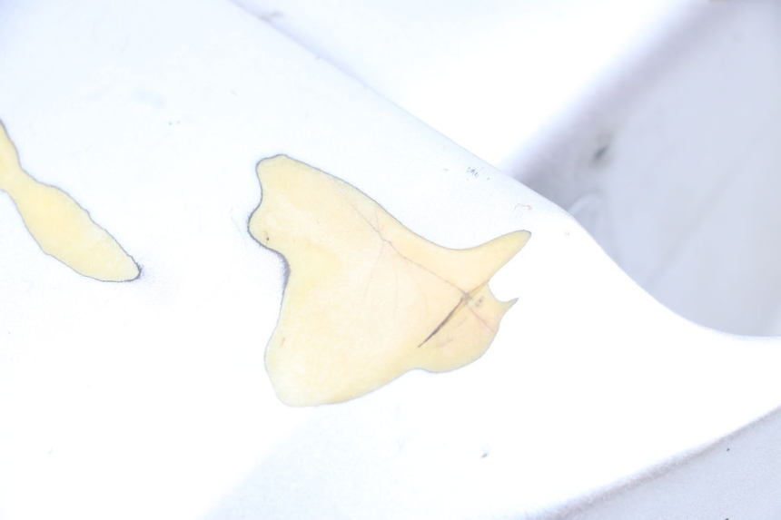 photo de Vorderradkotflügel HYOSUNG GF 125 (2001 - 2005)