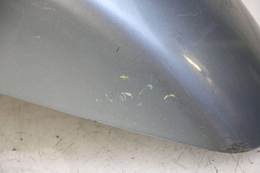 photo de KOTFLÜGEL VORNE DAELIM HISTORY 125 (2001 - 2002)