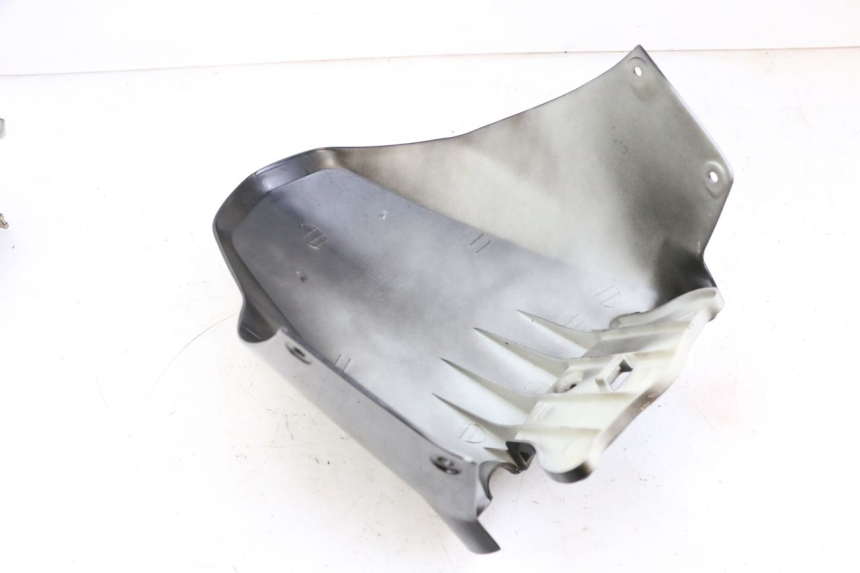 photo de KOTFLÜGEL VORNE EFUN PUSA 1 - Hochauflösende Nahaufnahme