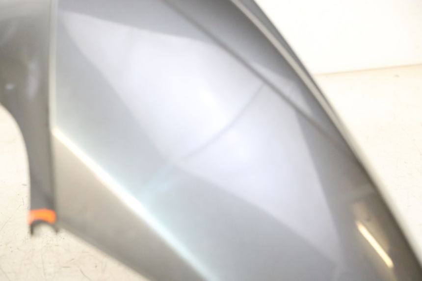 photo de VORDERRADKOTFLüGEL PEUGEOT SATELIS 125 (2006 - 2009)