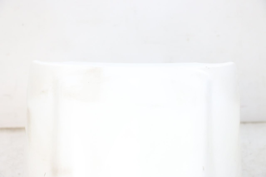 photo de KOTFLÜGEL VORNE PEUGEOT TWEET PRO EFI 4T 50 (2021 - 2022)