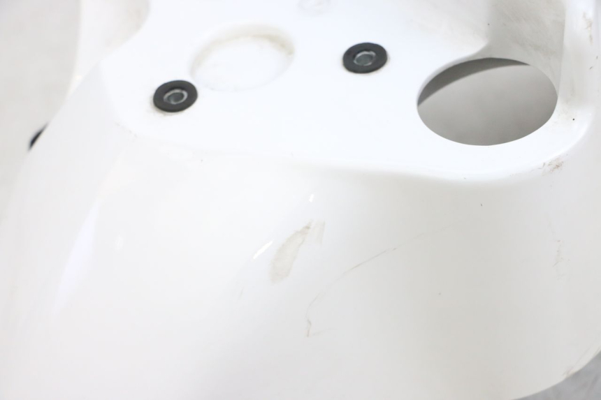 photo de KOTFLÜGEL VORNE PEUGEOT TWEET PRO EFI 4T 50 (2021 - 2022)