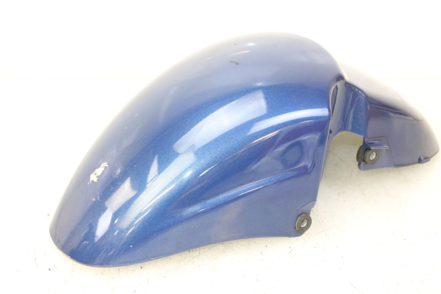 photo de VORDERRADKOTFLüGEL PIAGGIO X9 EVOLUTION 125 (2003 - 2007)