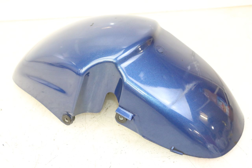 photo de VORDERRADKOTFLüGEL PIAGGIO X9 EVOLUTION 125 (2003 - 2007)