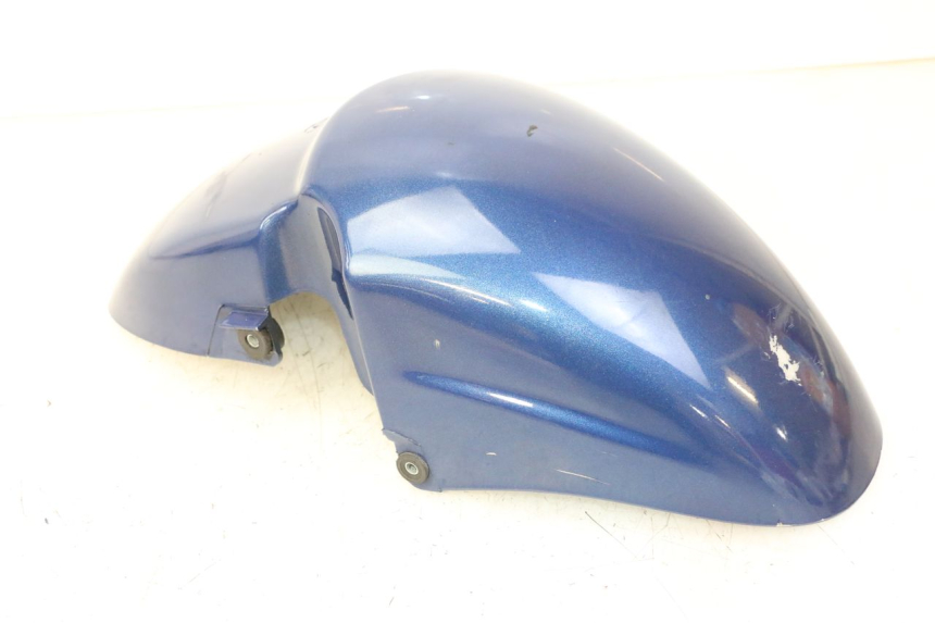 photo de VORDERRADKOTFLüGEL PIAGGIO X9 EVOLUTION 125 (2003 - 2007)