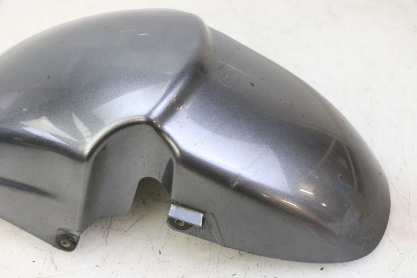 photo de VORDERRADKOTFLüGEL PIAGGIO X9 EVOLUTION 125 (2003 - 2007)