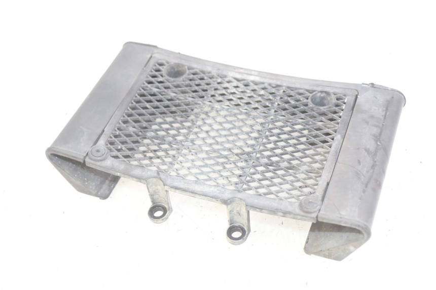 photo de KÜHLERGRILL DAELIM VL DAYSTAR 125 (2000 - 2011)
