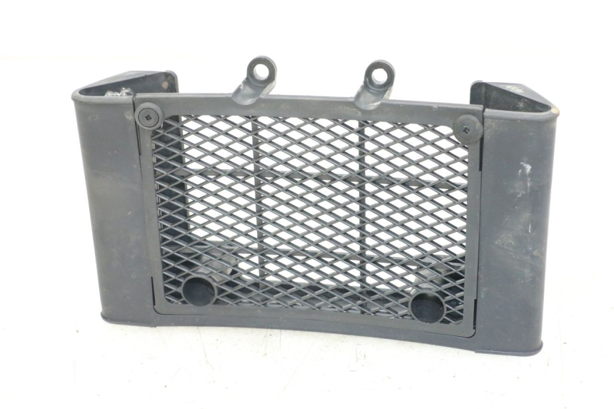 photo de KÜHLERGRILL DAELIM VL DAYSTAR 125 (2000 - 2011)