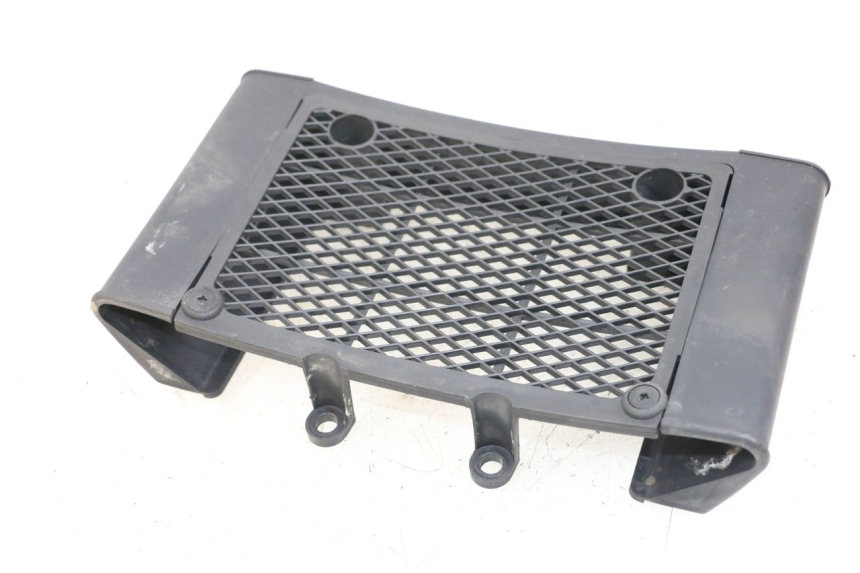 photo de KÜHLERGRILL DAELIM VL DAYSTAR 125 (2000 - 2011)
