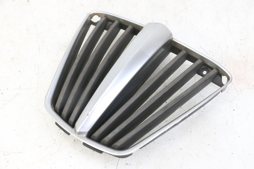 photo de KÜHLERGRILL PIAGGIO MP3 LT 400 (2007 - 2012)