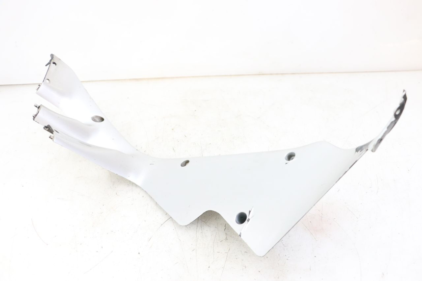 photo de KANZEL INNENVERKLEIDUNG RECHTS HONDA CBR F 1000 (1993 - 1996)