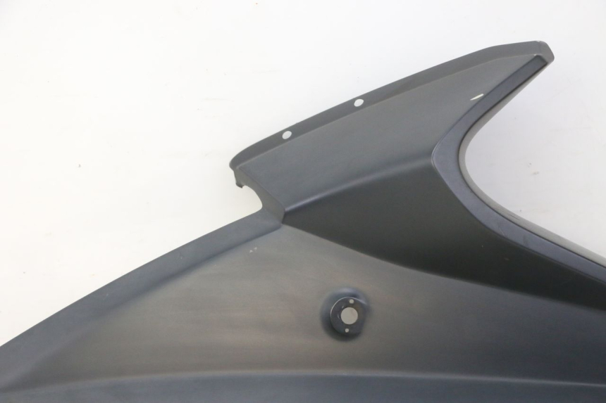 photo de KANZEL INNENVERKLEIDUNG LINKS QUADRO 4 4D 350 (2015 - 2018)