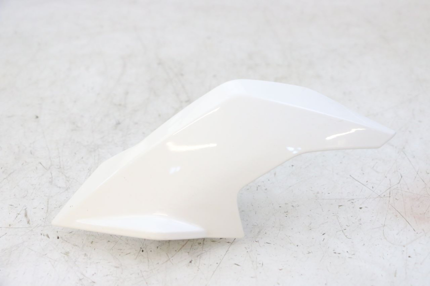 photo de KANZEL INNENVERKLEIDUNG LINKS BMW G310 R 310 (2016 - 2020)