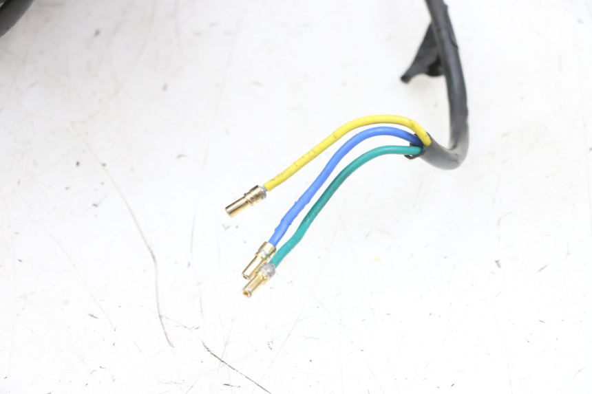 photo de VORDERRAD UND REIFEN DUALTRON VICTOR LIMITED 1