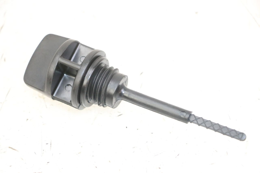 photo de ÖL MOTOR GEBER DAELIM BESBI 125 (2007 - 2008)