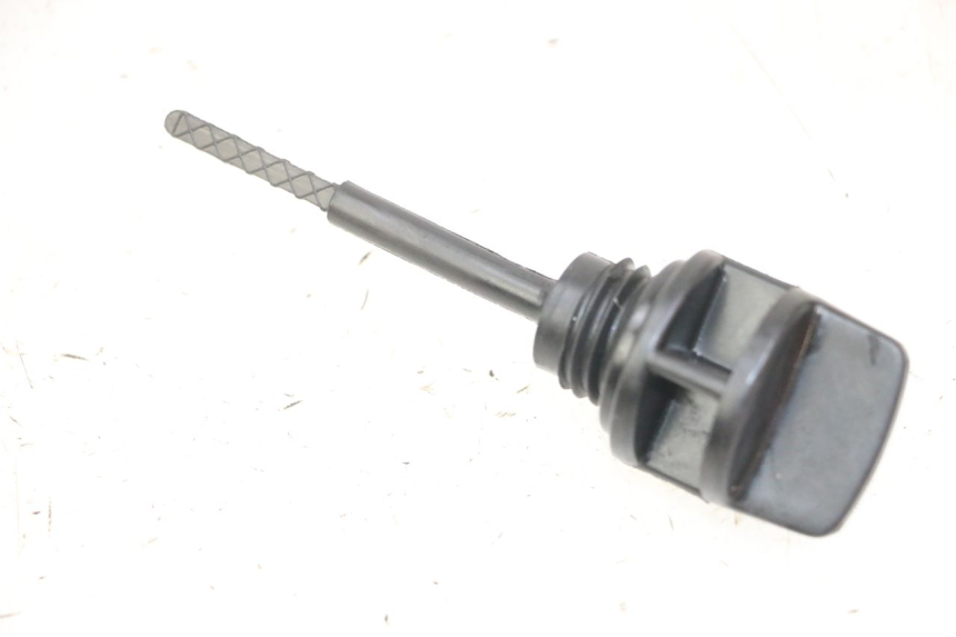 photo de ÖL MOTOR GEBER DAELIM BESBI 125 (2007 - 2008)