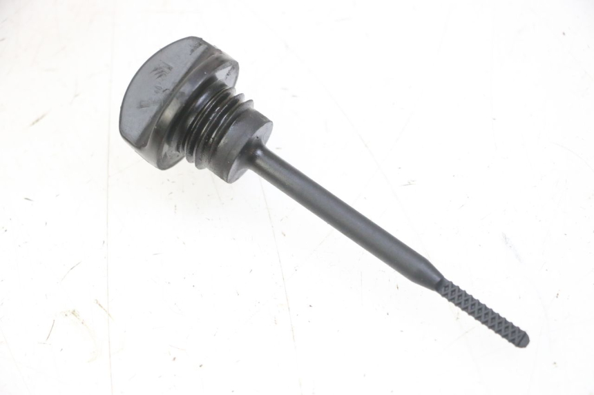 photo de ÖL MOTOR GEBER HONDA FORZA ABS 300 (2013 - 2019)