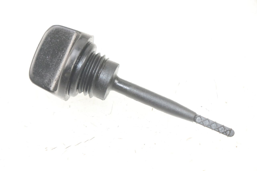 photo de ÖL MOTOR GEBER HONDA SCV LEAD 100 (2003 - 2007)