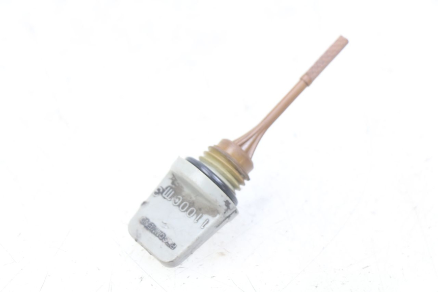 photo de ÖLMESSEINRICHTUNG MOTOR YAMAHA HW XENTER 125 (2011 - 2017)