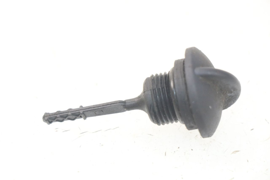 photo de ÖL MOTOR GEBER PIAGGIO LIBERTY IGET 4T 50 (2015 - 2020)