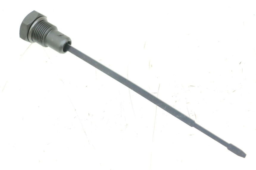 photo de ÖL MOTOR GEBER MOTO GUZZI NORGE 8V GT 1200 (2011 - 2016)